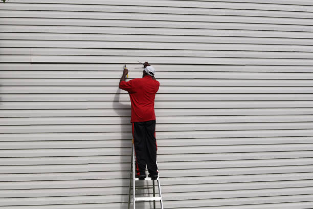 Best Residential Vinyl Siding Installation  in Ladera Heights, CA