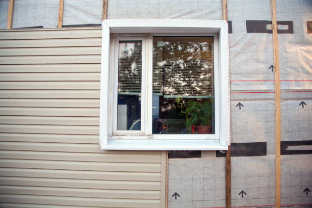 Best Fiber Cement Siding Installation  in Ladera Heights, CA