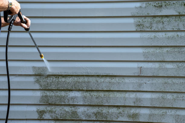 Best Stucco Siding  in Ladera Heights, CA