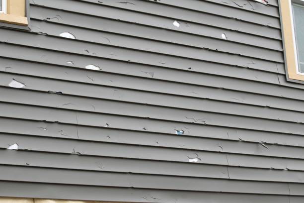 Best Fascia and Soffit Installation  in Ladera Heights, CA