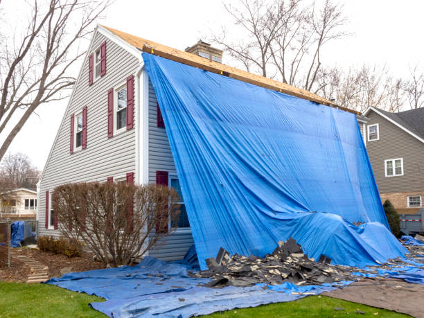 Best Wood Siding Installation  in Ladera Heights, CA