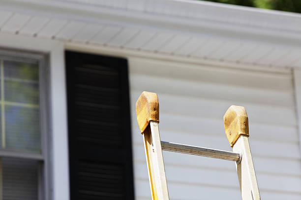 Best Siding for New Construction  in Ladera Heights, CA